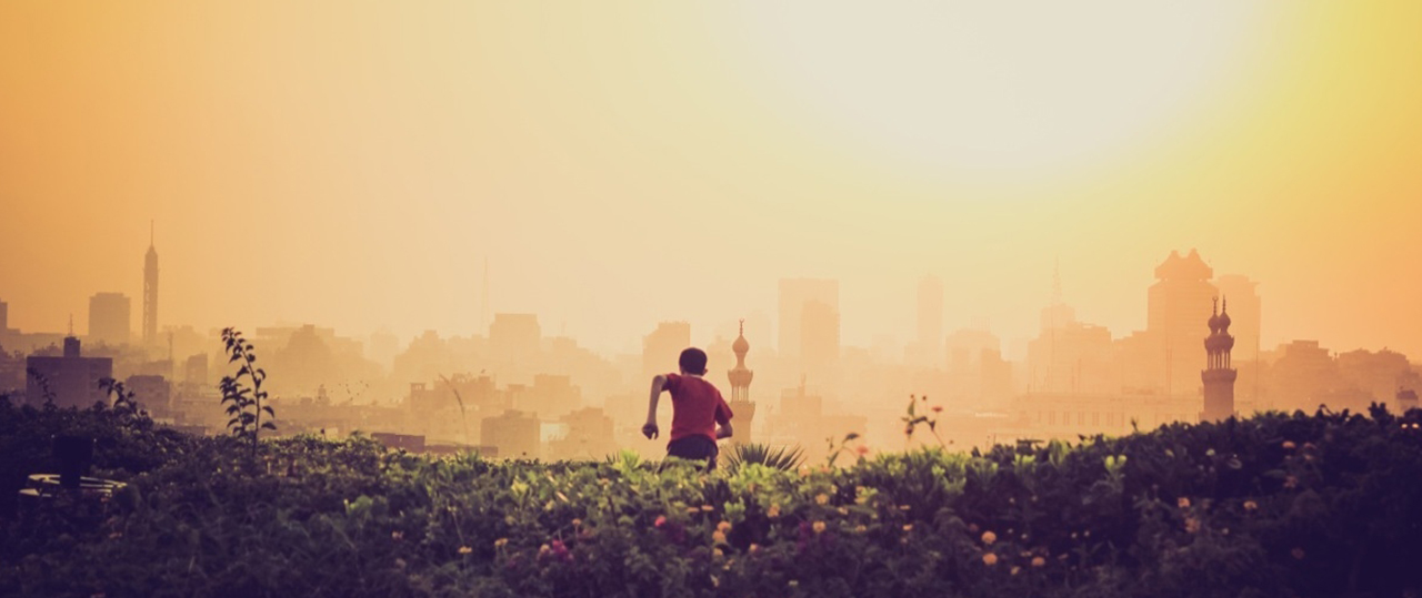 DDOS平台